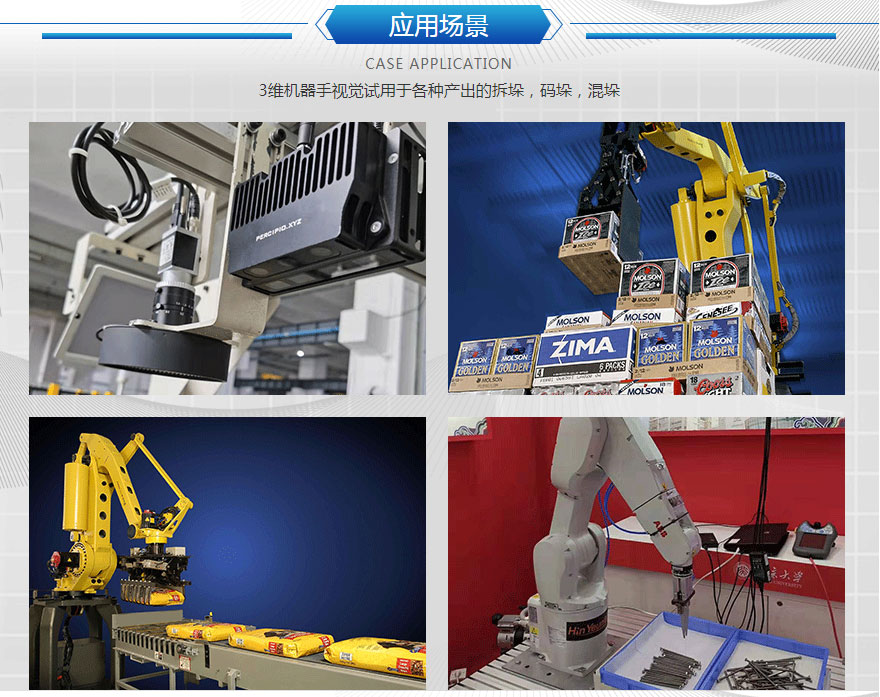 3D视觉机械人指导定位(包括拆垛、码垛、混垛)系统